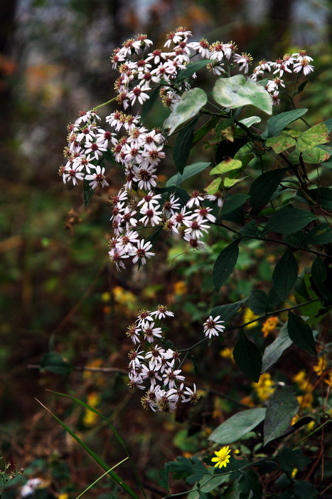 imgp6758.jpg