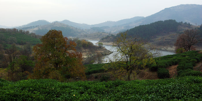 imgp6767.jpg