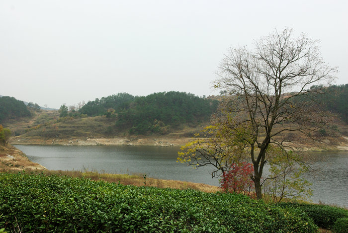 imgp6773.jpg