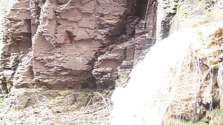 191.jpg