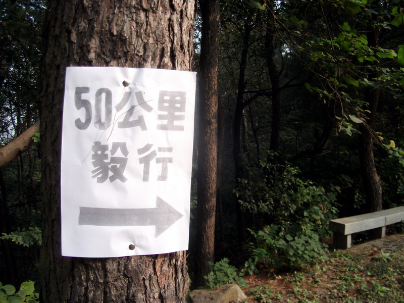 dscf0179.jpg