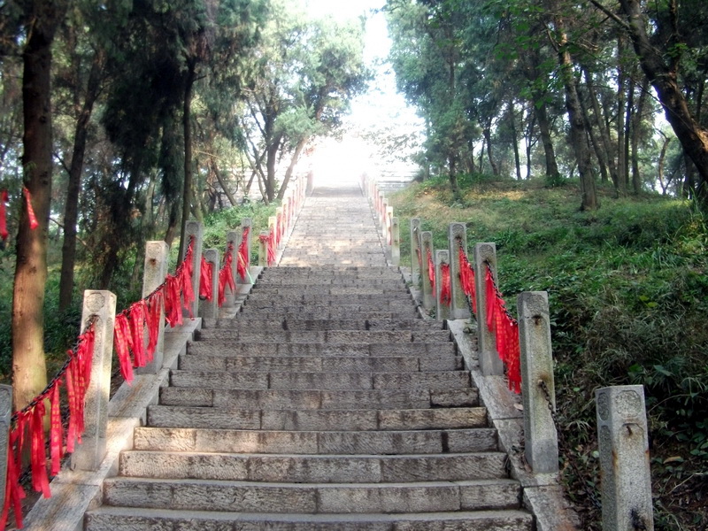 dscf0181.jpg
