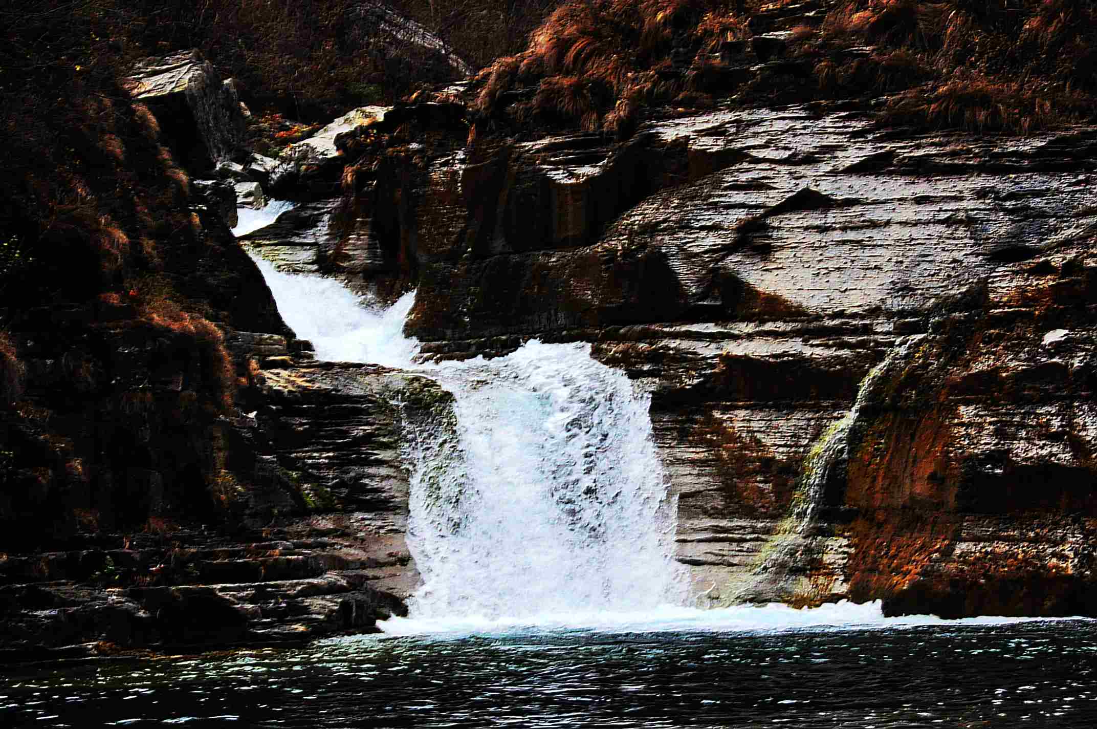 dsc_0346.jpg