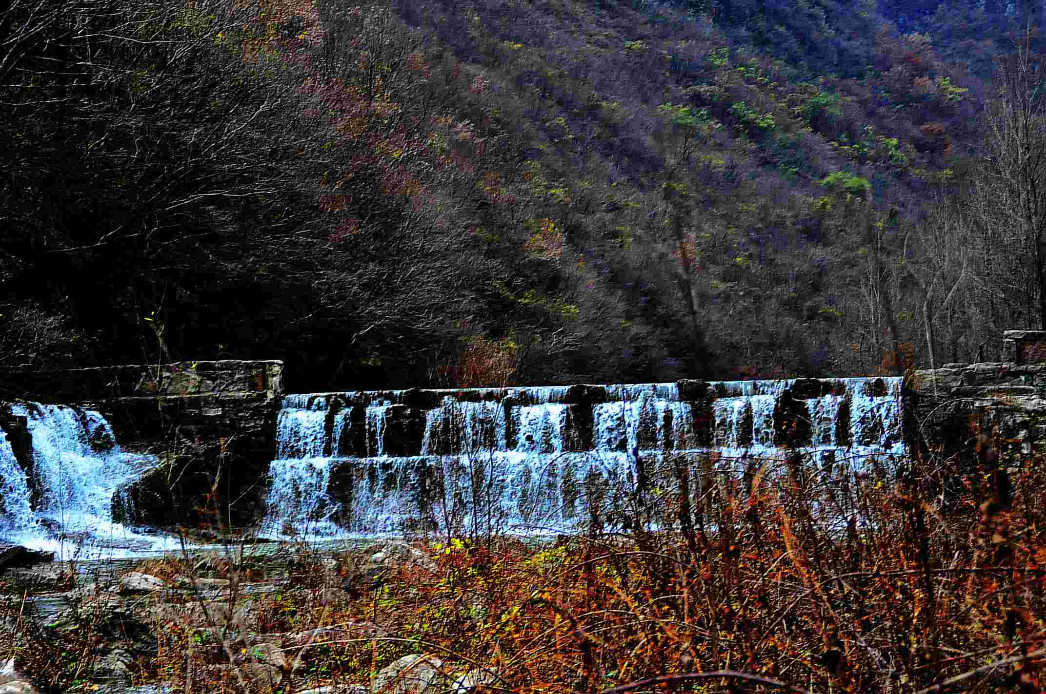 dsc_0371.jpg
