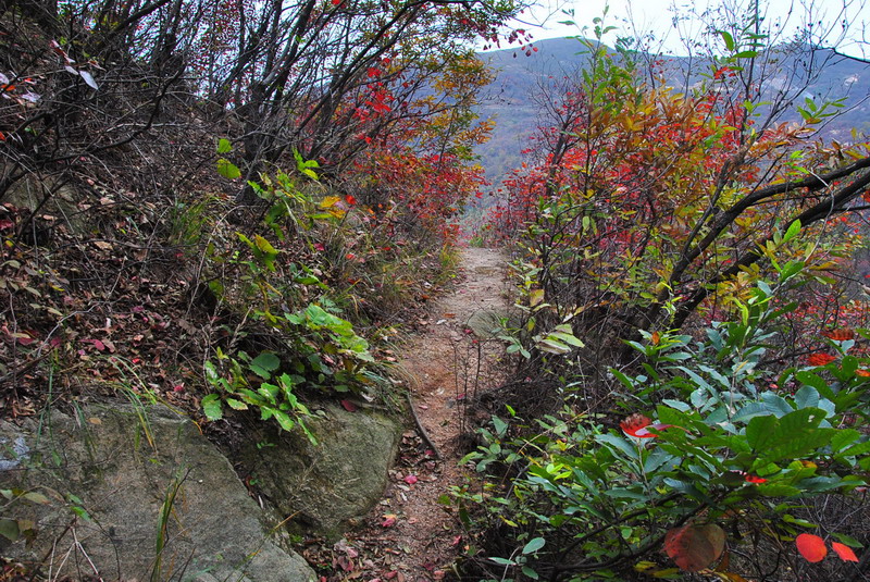 dsc_0449.jpg