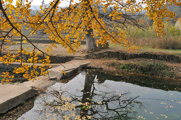 dsc_0113.jpg