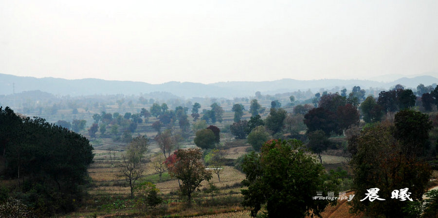 dsc_4678.jpg