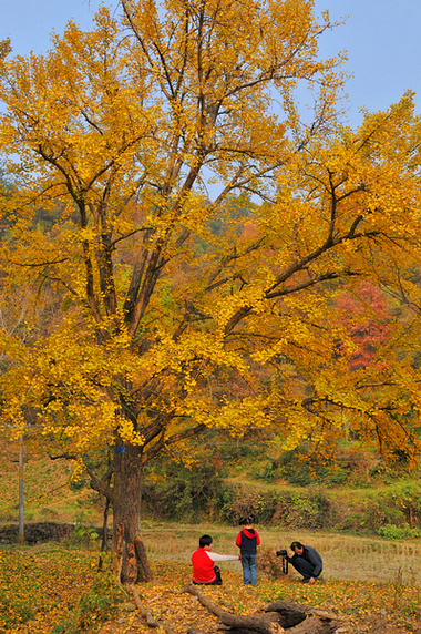 dsc_0135.jpg