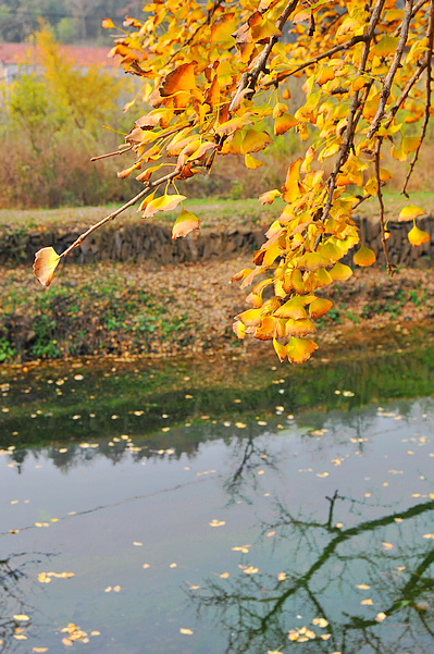 dsc_0128.jpg