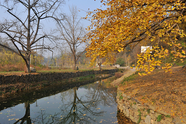 dsc_0116.jpg