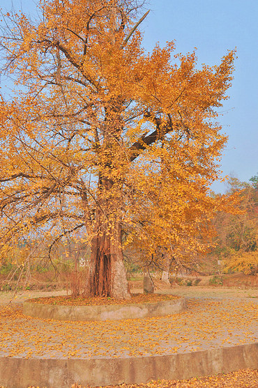 dsc_0121.jpg