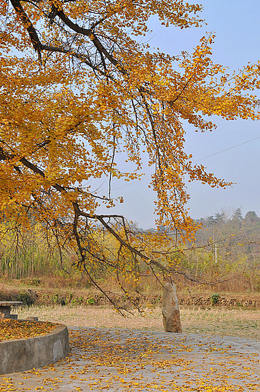dsc_0126.jpg