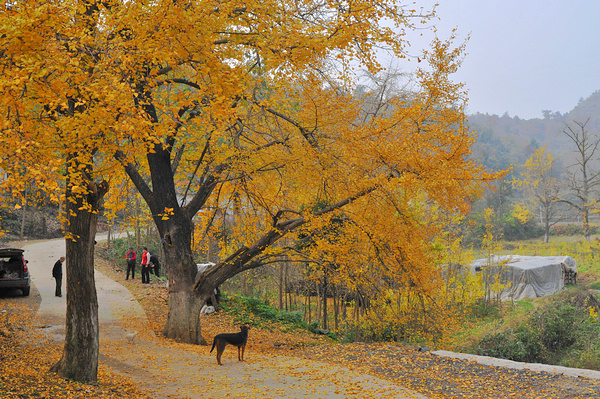 dsc_0159.jpg