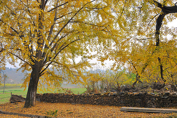 dsc_0178.jpg