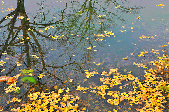 dsc_0119.jpg