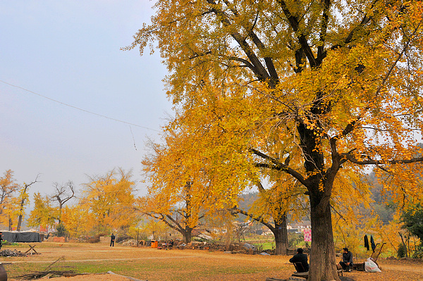 dsc_0188.jpg