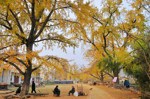 dsc_0194.jpg