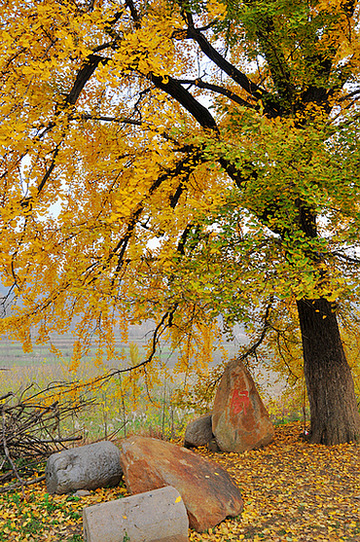 dsc_0245.jpg