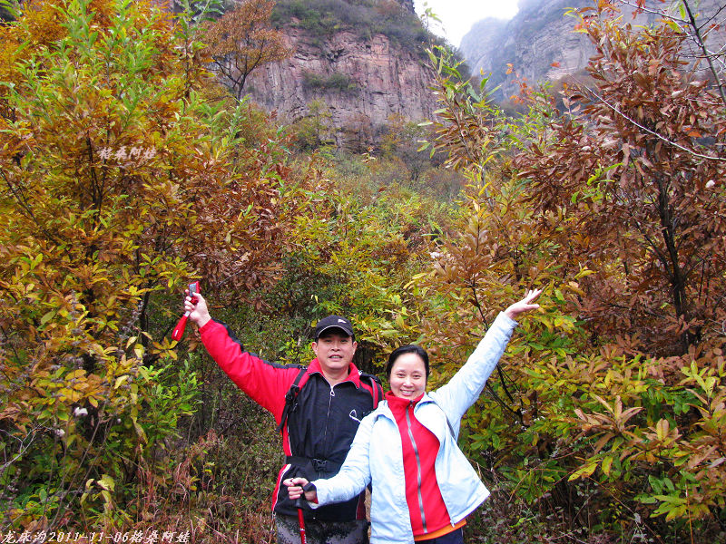 2011ʯҴϿ 1532-1.jpg