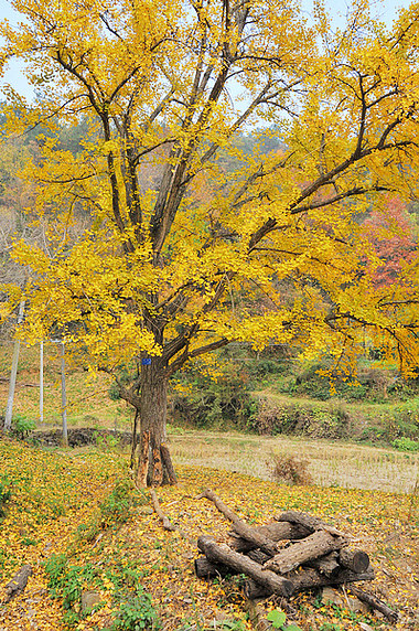 dsc_0145.jpg
