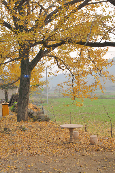 dsc_0263.jpg