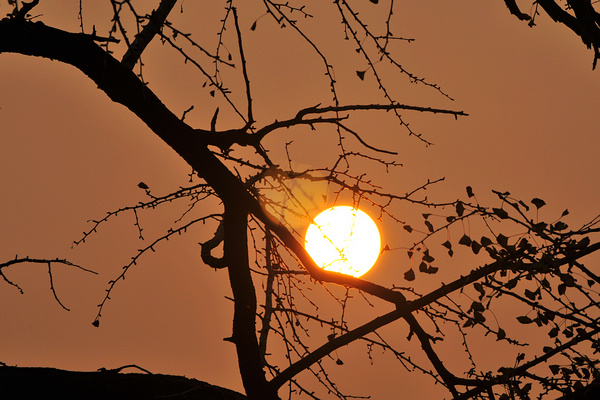 dsc_0266.jpg