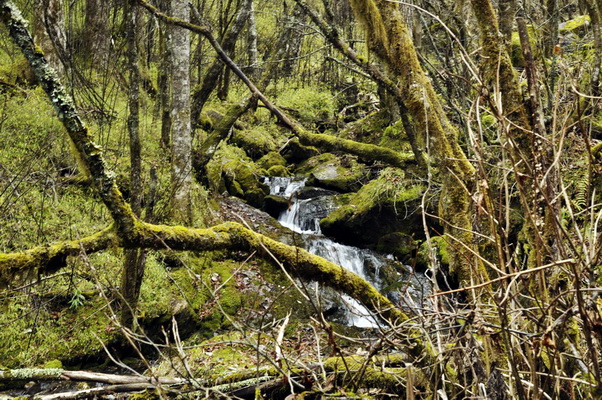_dsc0974.jpg