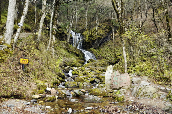 _dsc0935.jpg