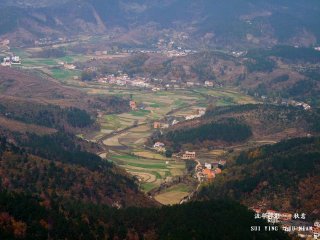 p1010200.jpg