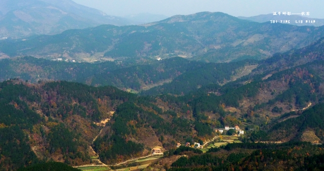 p1010202.jpg