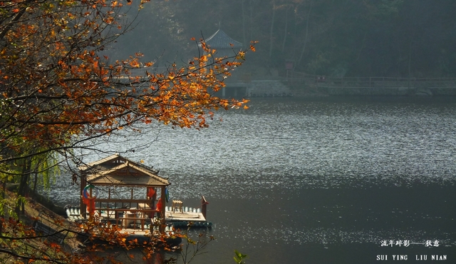 p1010228.jpg