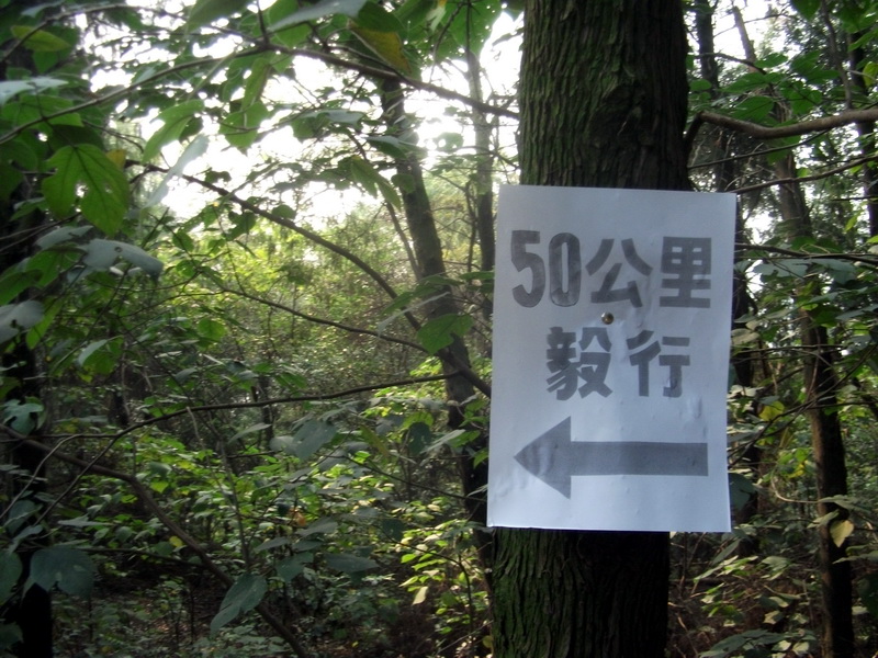 dscf0183.jpg