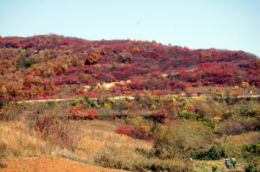 С dsc_0079.jpg