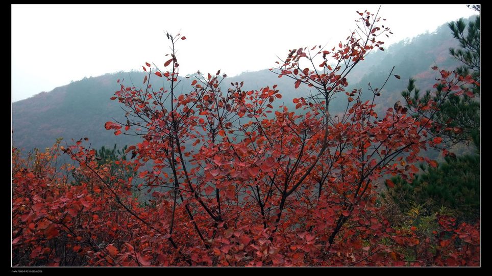 dscf6573.jpg