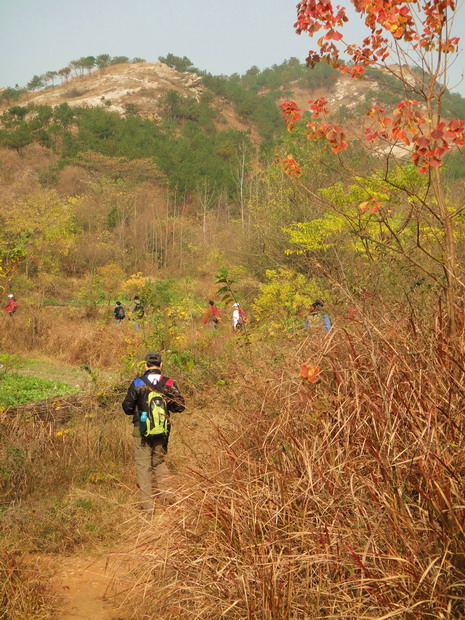dsc09242.jpg