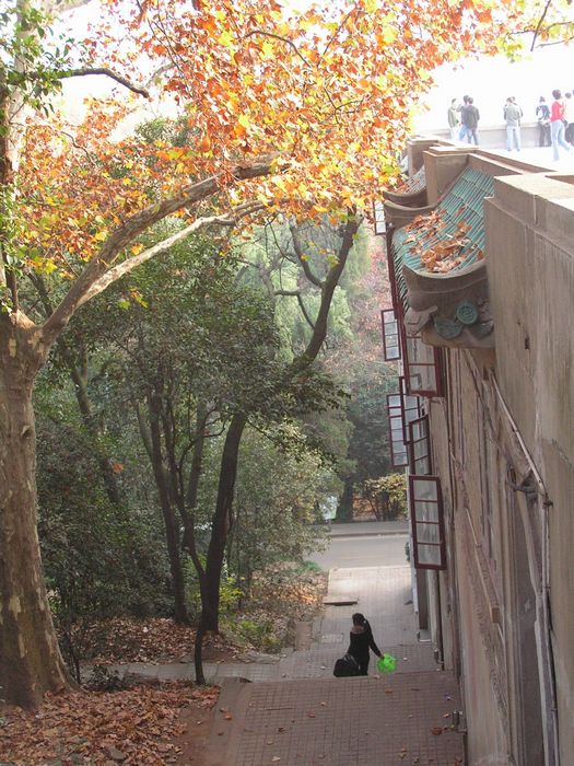 pict0070-1.jpg