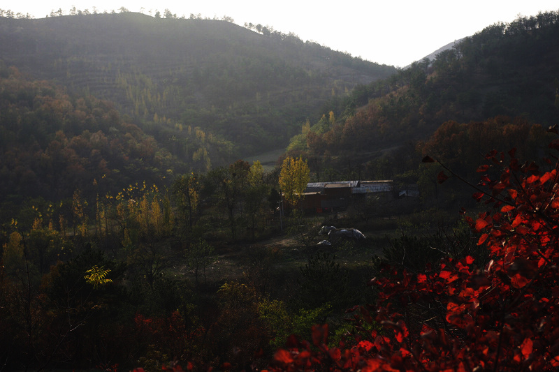 imgp0283.jpg