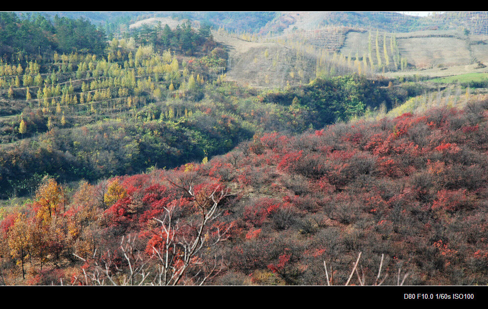 dsc_0012.jpg