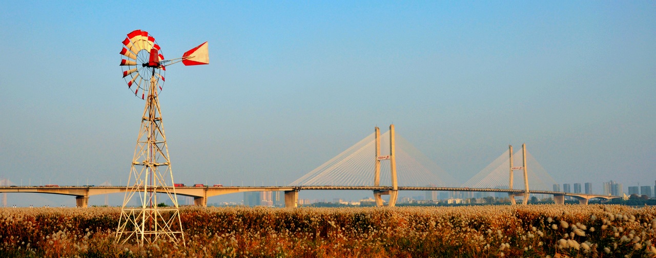 dsc_0411.jpg