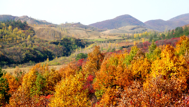 dsc03386_.jpg