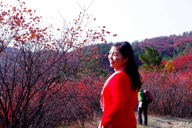 imgp0085.jpg