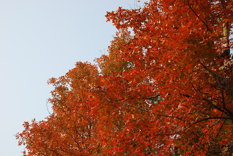dsc_0189_.jpg
