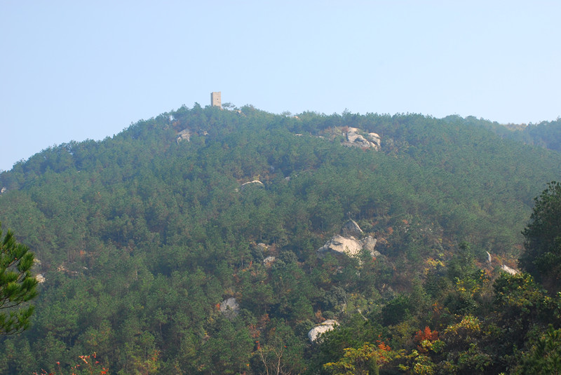dsc_0012_.jpg