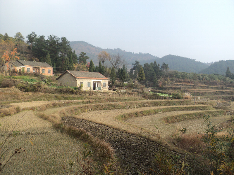 dsc06436_.jpg
