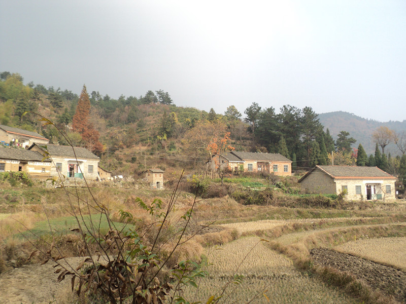 dsc06437_.jpg
