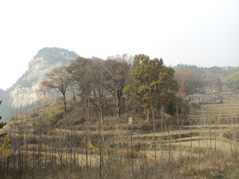 dsc06439_.jpg