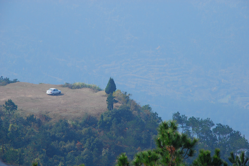 dsc_0037_.jpg