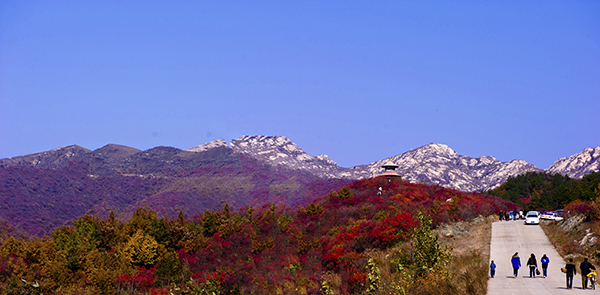 _dsc8485a.jpg