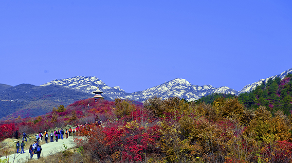 _dsc8494a.jpg