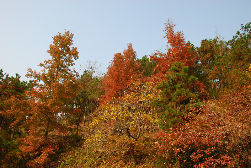 dsc_0190_.jpg